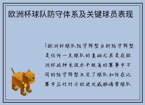 欧洲杯球队防守体系及关键球员表现